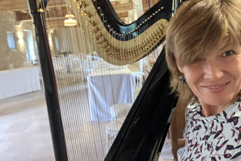 Grande harpe
