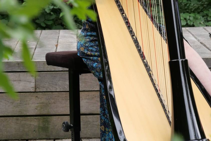 Grande harpe