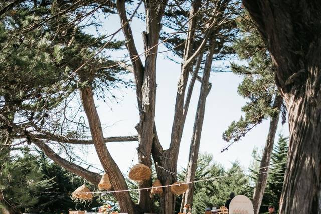 Cocktail pied dans le sable