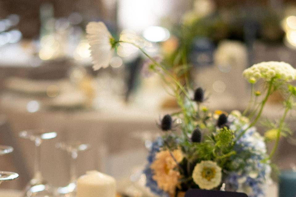 Mariage Anaëlle et Charles