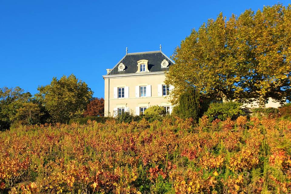 Château avec vue 180 degrés