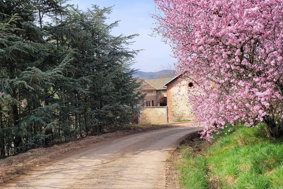 Château des Vierres