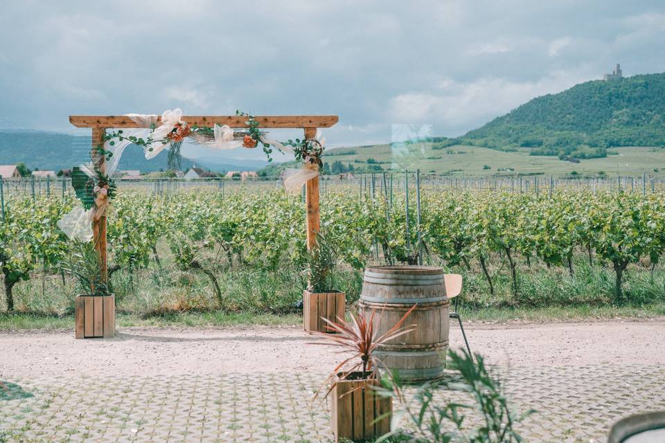 Au Coeur des Vignes