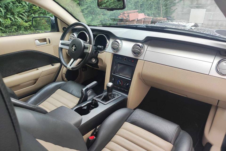 Intérieur cuir beige avec quas
