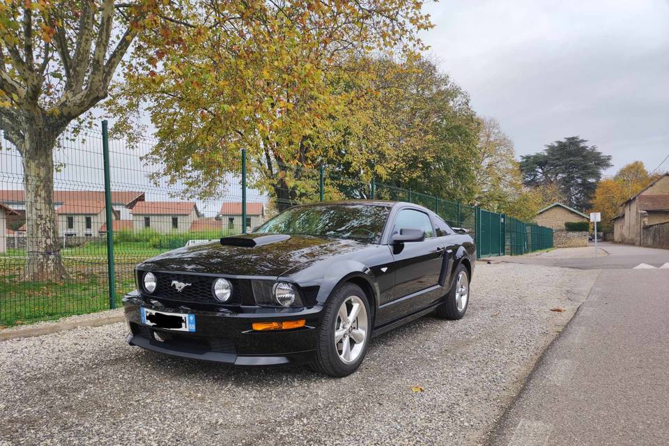Mustang V8 Gtcs