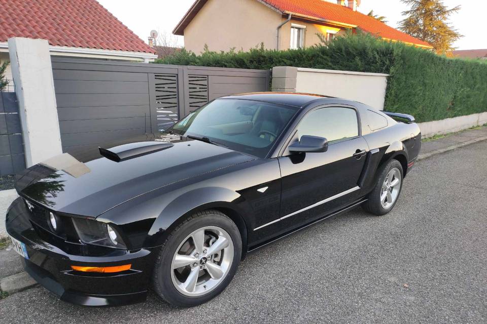 Mustang v8gtcs