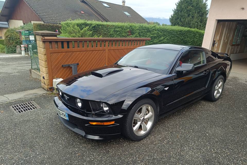 Mustang v8gtcs