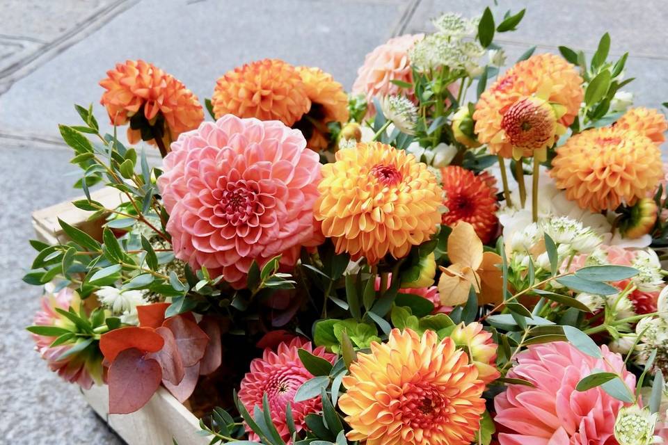 Fleurs françaises