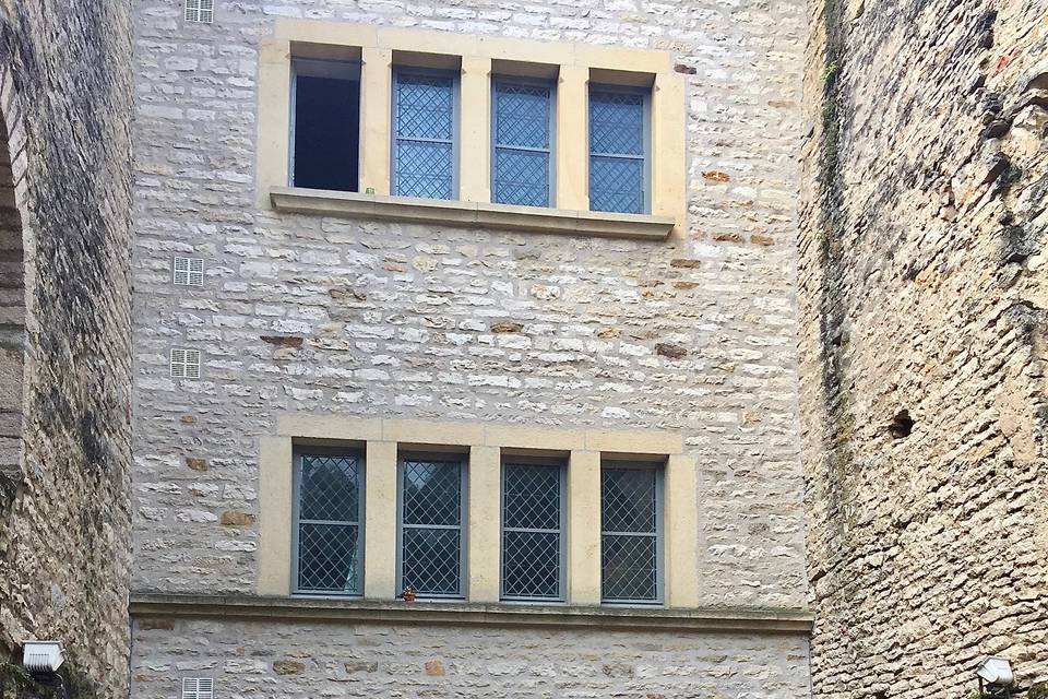 Les Amis de Cluny