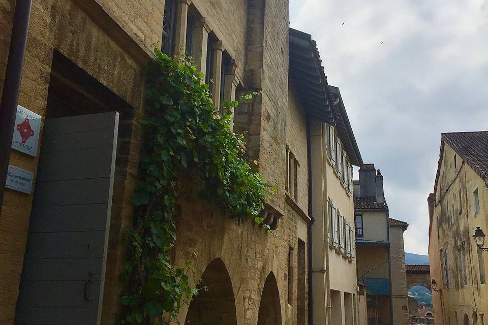 Les Amis de Cluny