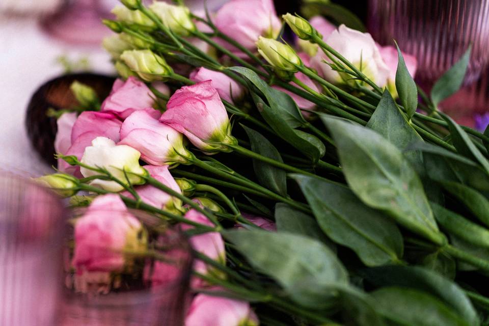 Passion Fleur