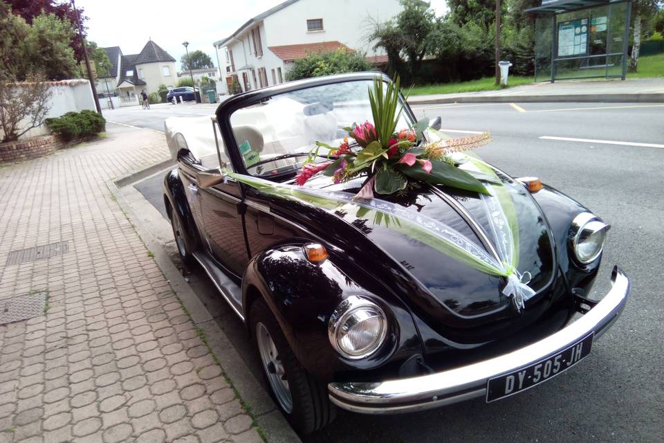 DECO 5