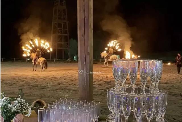 Spectacle chevaux