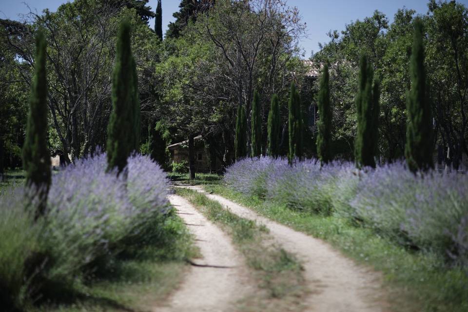 Entrée du domaine