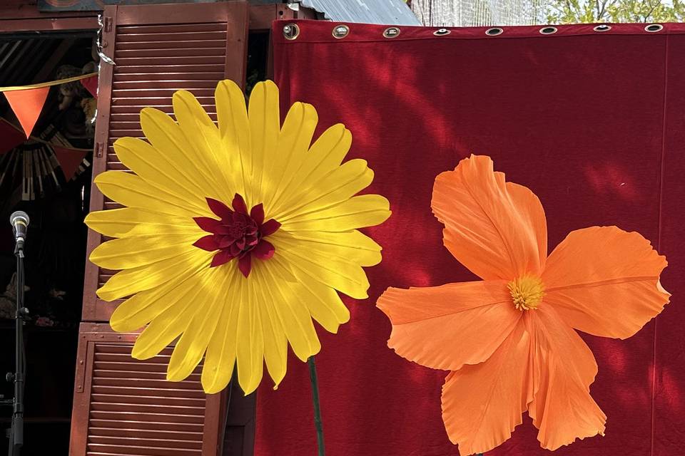 Gerbera et hibiscus géants