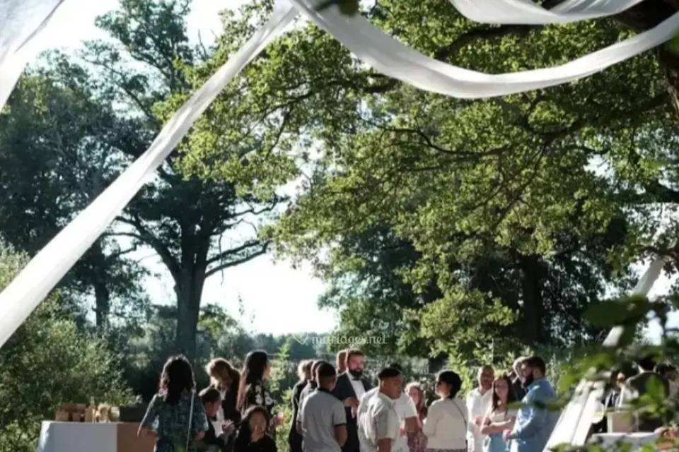 Réception dans le parc