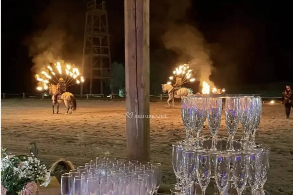 Spectacle chevaux