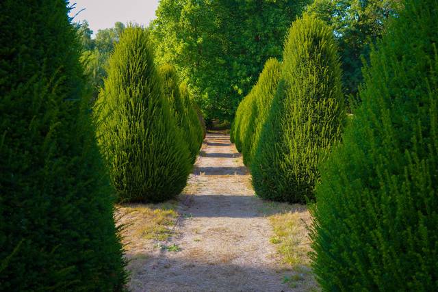 Allée