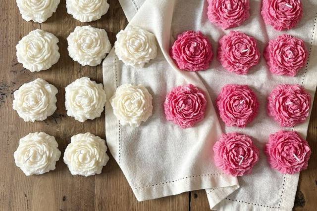 Des pivoines blanches & roses