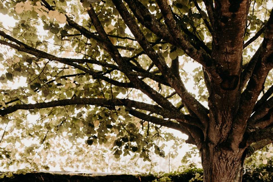 Photo Clemence Cosnefroy