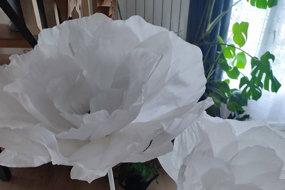 Fleurs thème blanc et noir