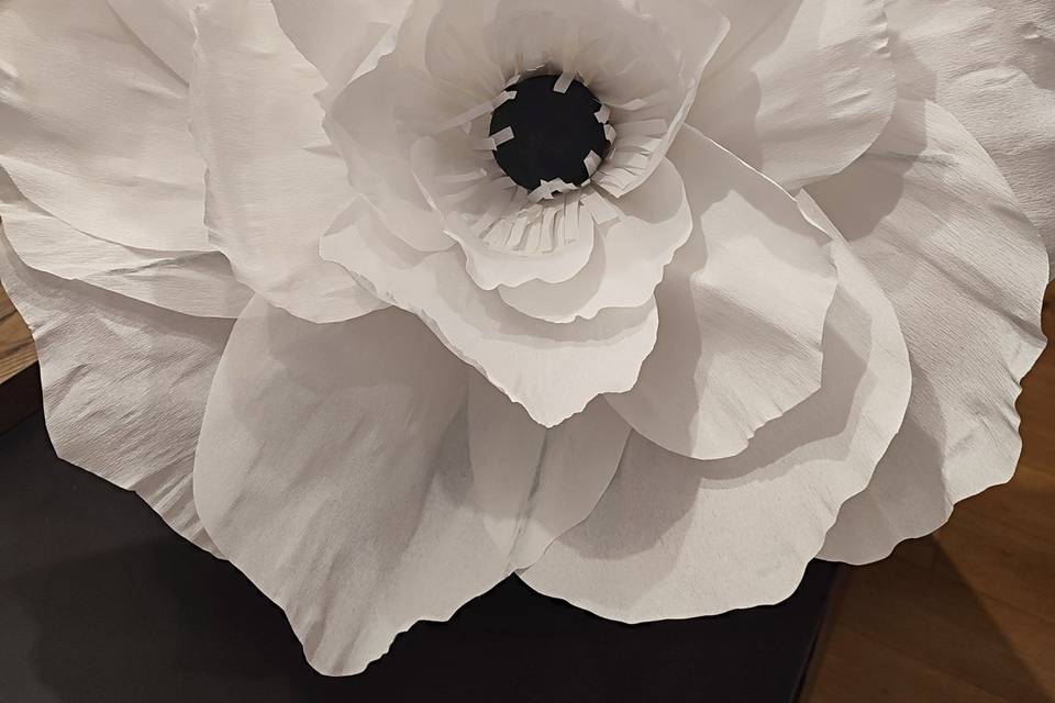 Fleurs thème blanc et noir
