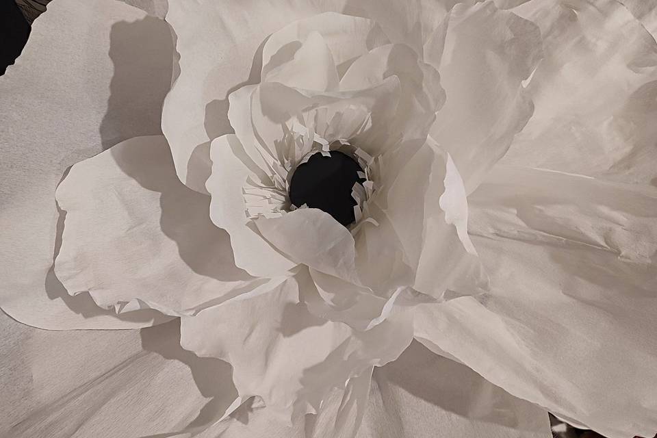 Fleurs thème blanc et noir