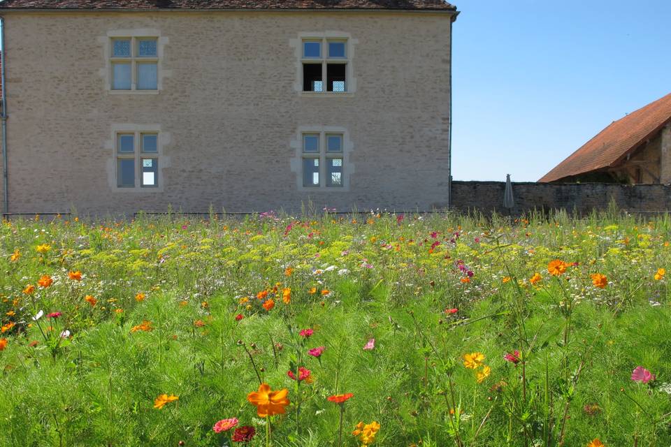 Le Manoir Equivocal