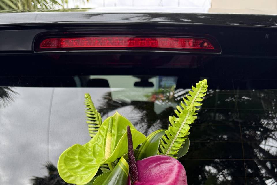 Thème exotique