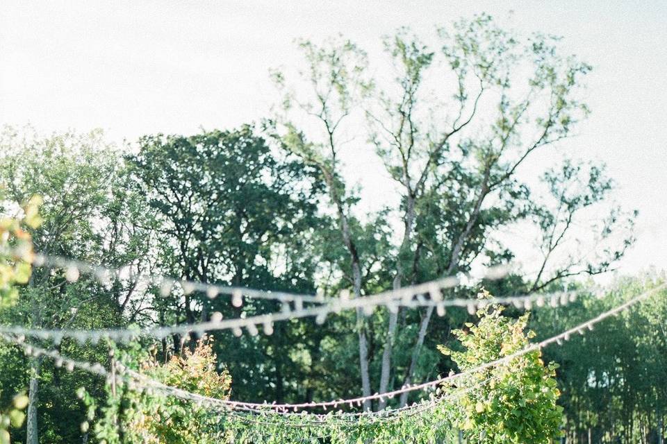 Confetti de Mariage