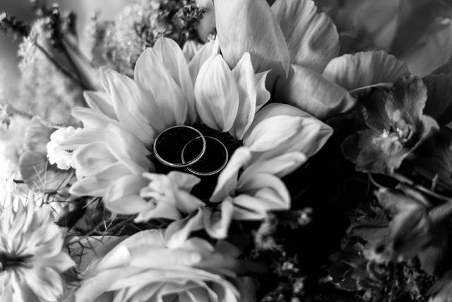 Anais.Letellier.s