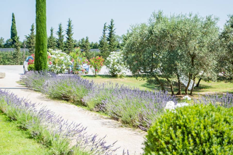 Le Petit Roulet Cavaillon