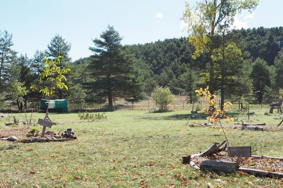 Le parc et le paysage