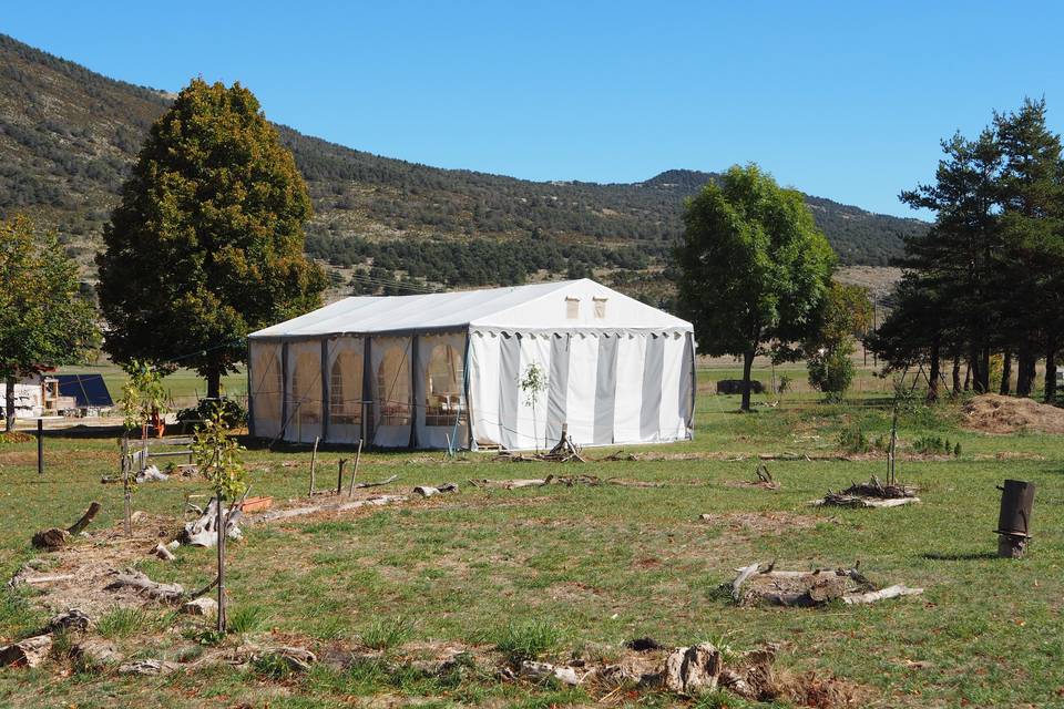 Le barmum dans le parc