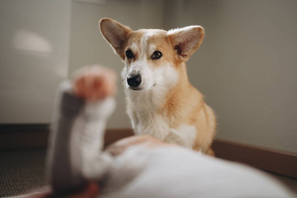 Baby & dog