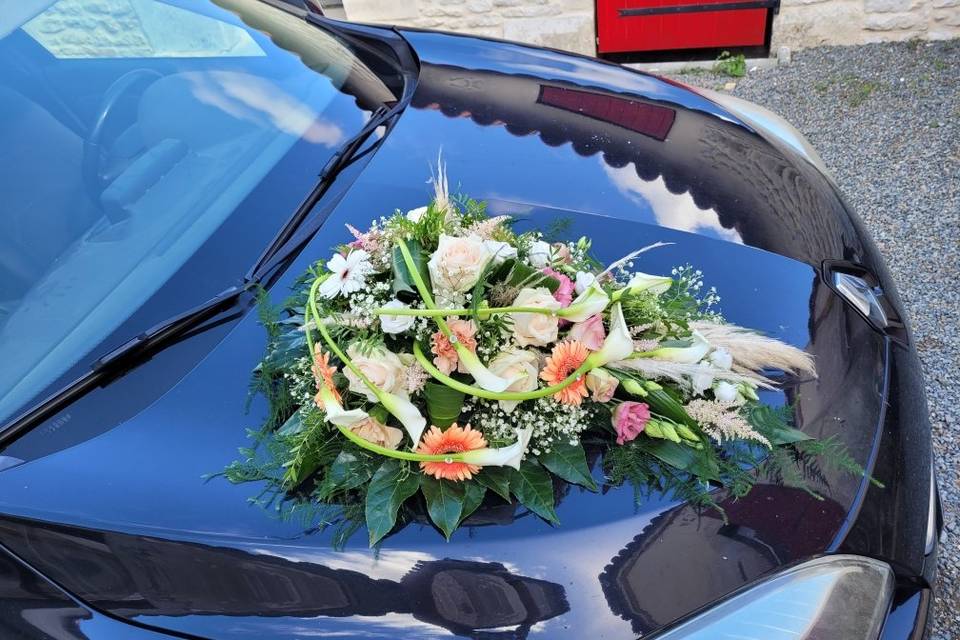 Ventouse Voiture