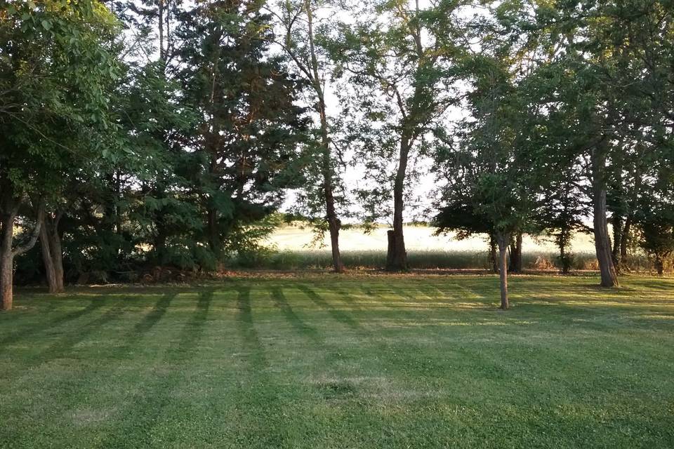 Cérémonie dans le parc