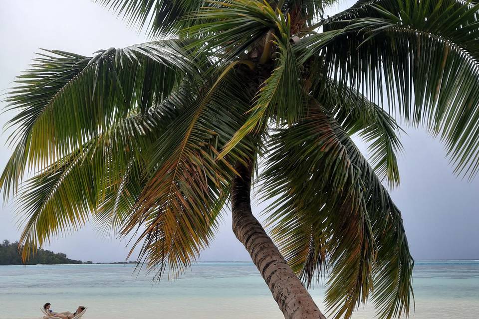 Un décor de rêve à Tahiti