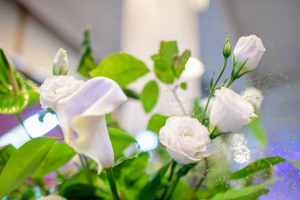 Encore des fleurs