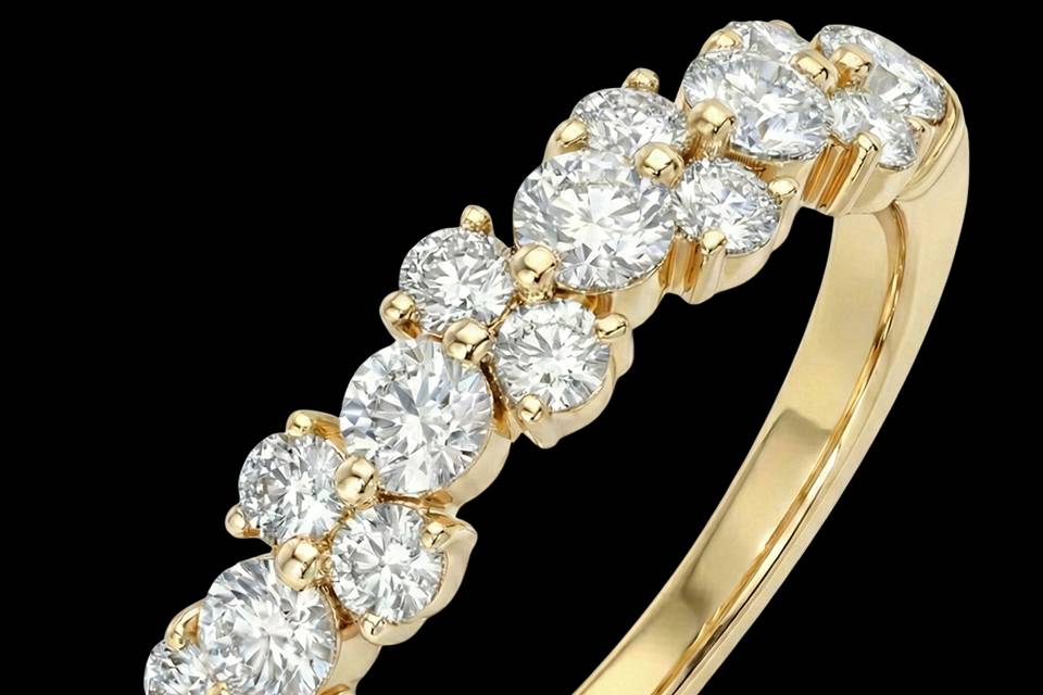 Collection 2026