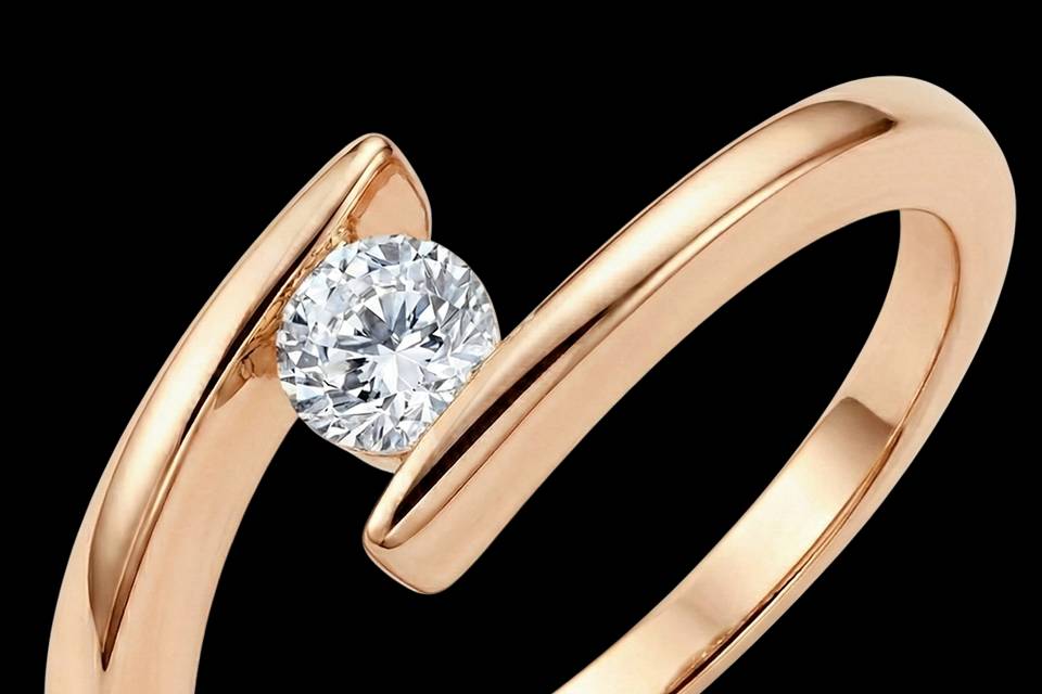 Collection 2026