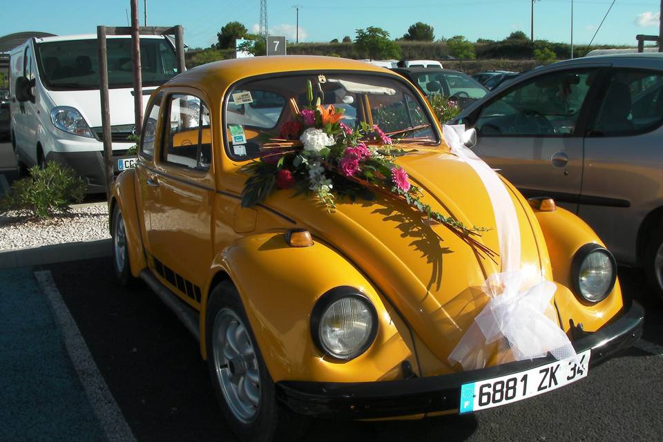 Décoration de voiture