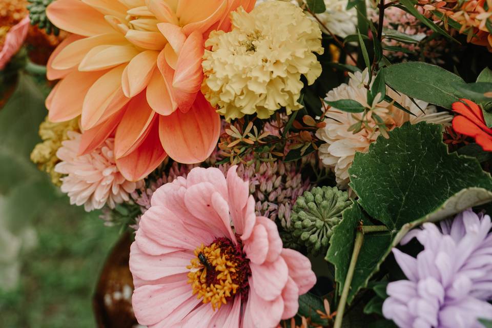 Dahlias lovers