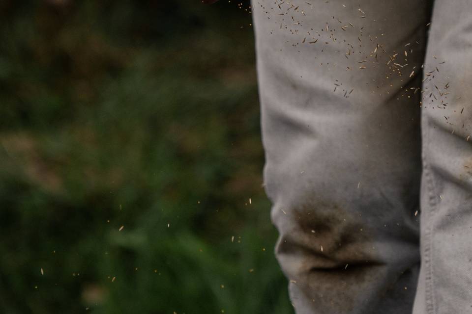 De la graine au bouquet