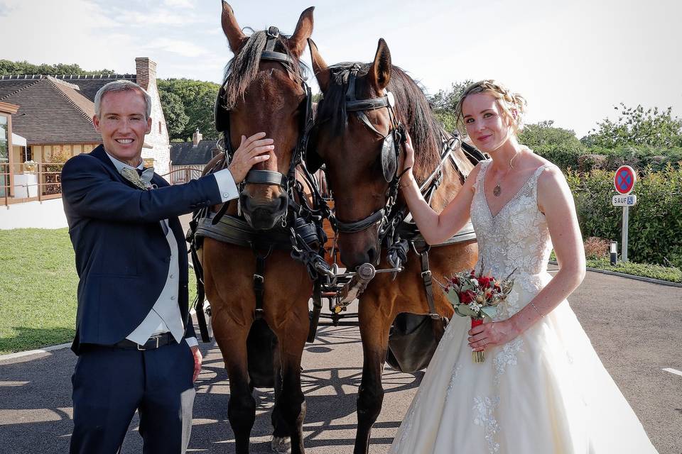 Les mariés et nos chevaux