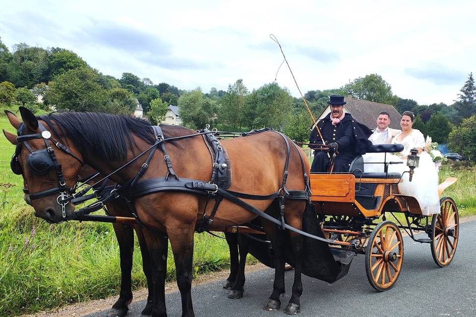 Mariage à Hermival (Lisieux)