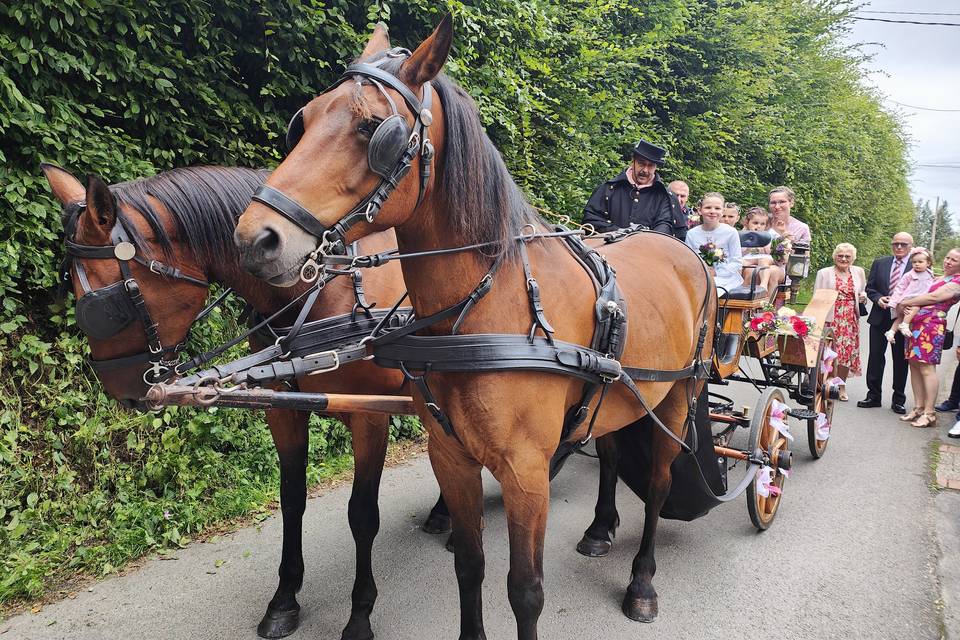 Mariage à Montviette -Calvados