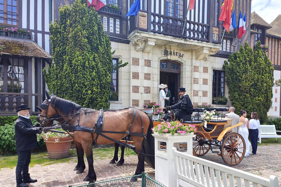 Mairie de Deauville en calèche