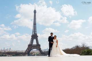 Colombe Photographie