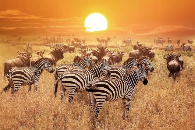 Voyages de noces Tanzanie